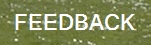 Feedback